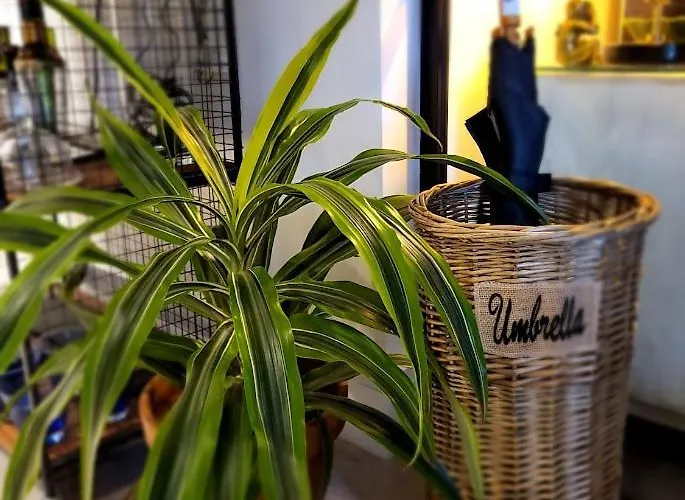 Cocoa Isabella - River Fronted With Secure Parking York