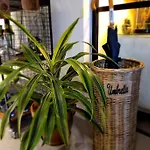 Cocoa Isabella - River Fronted With Secure Parking York